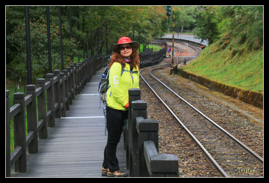 IMG_9349.jpg - 20151130 小笠原山、對高岳