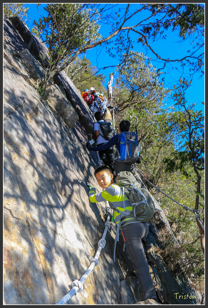 IMG_0446.jpg - 20151219 鳶嘴稍來山、小雪山林道