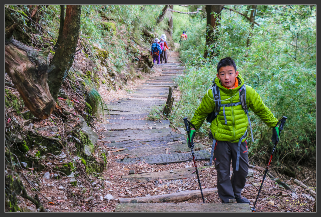 IMG_1060.jpg - 20151219 鳶嘴稍來山、小雪山林道