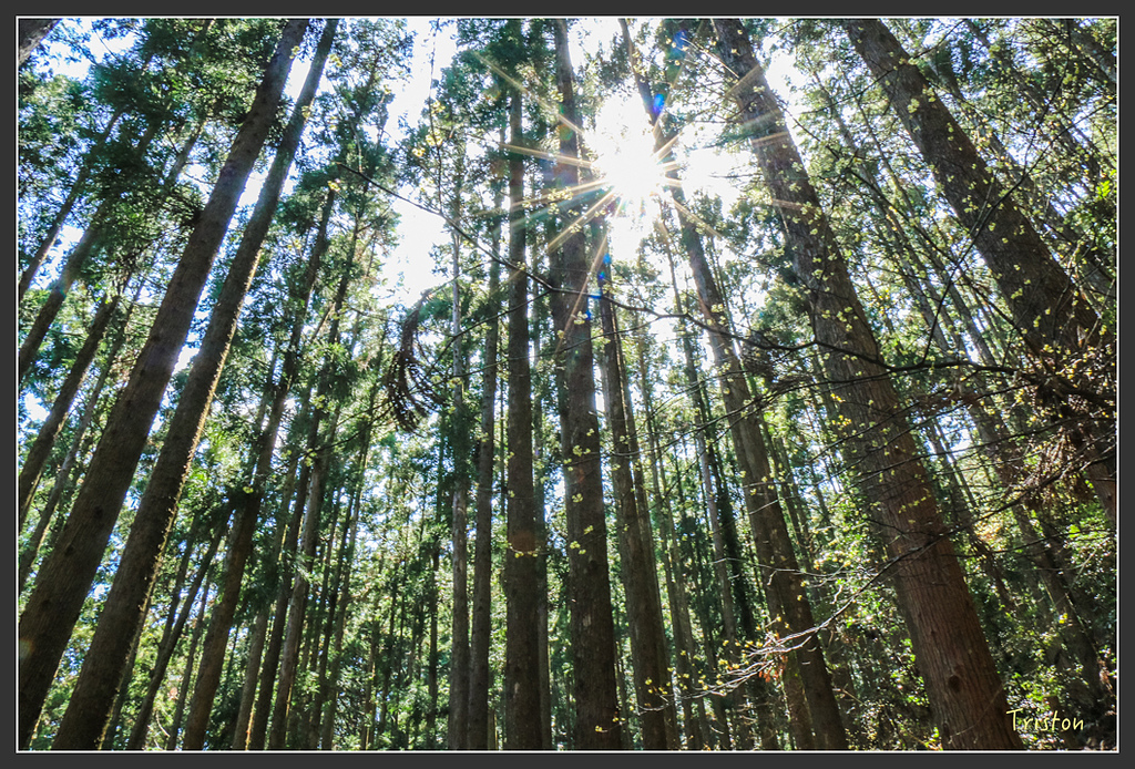 IMG_5152.jpg - 20160323 日本熊野古道健行