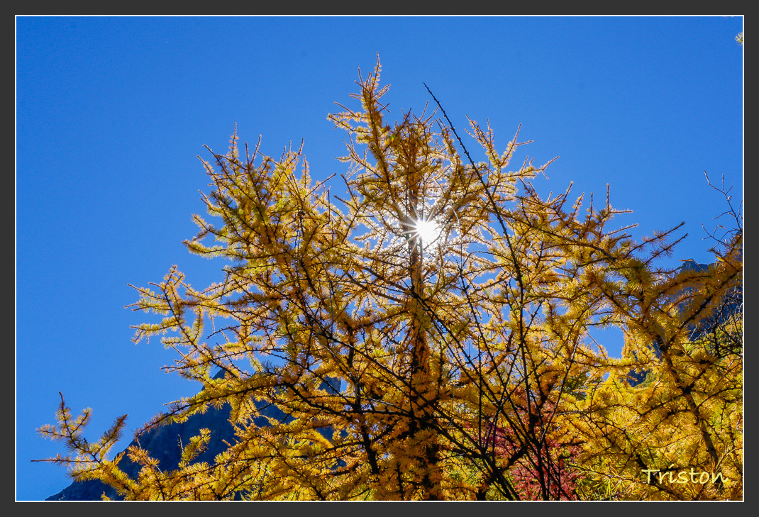 _MG_2314.jpg - 20161013 稻城亞丁