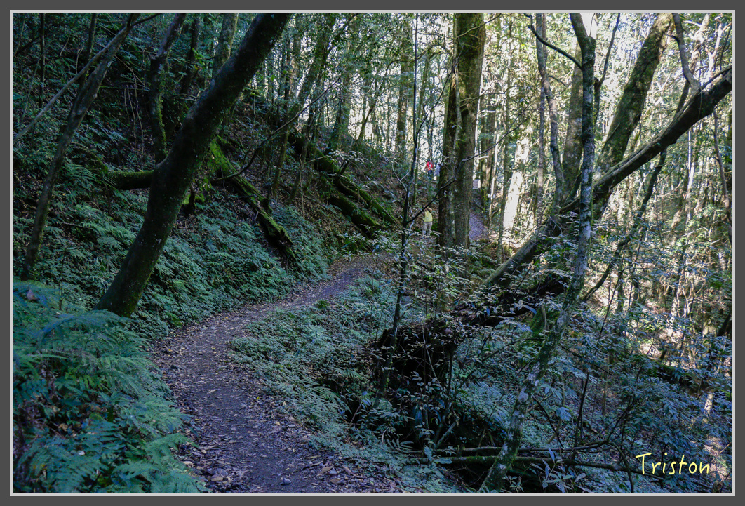 _MG_0313.jpg - 20161203 鎮西堡