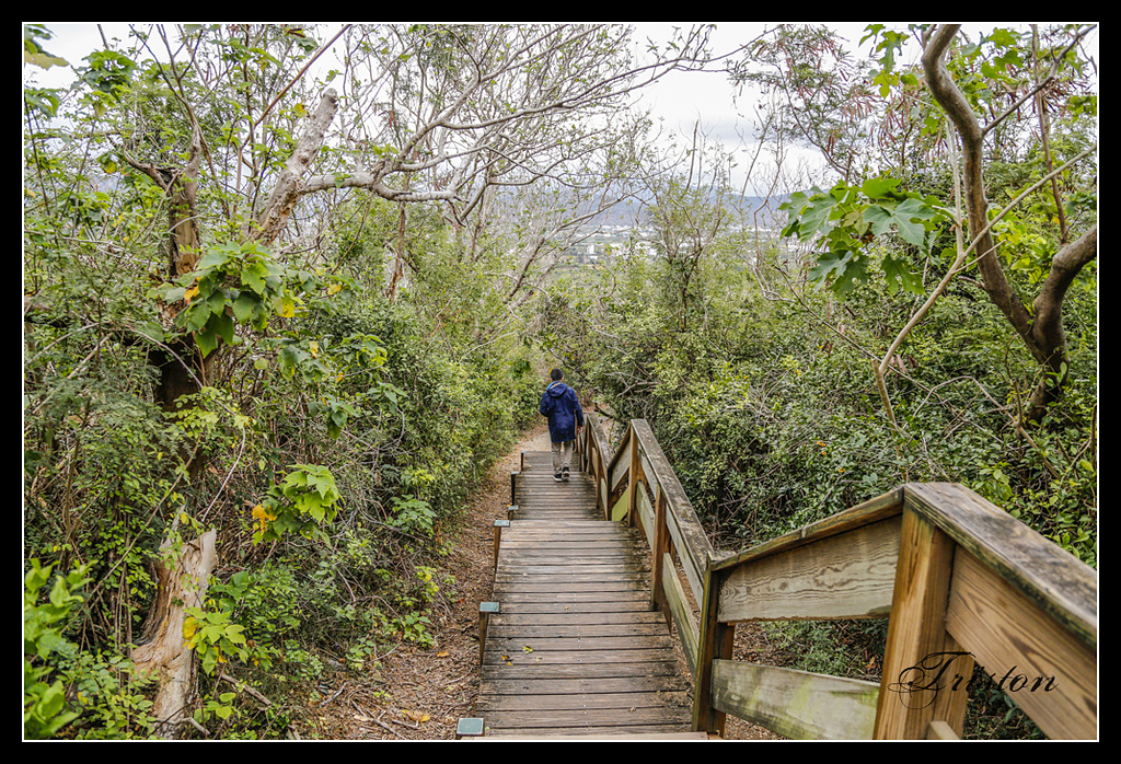 _H1A3228.jpg - 20170401 墾丁