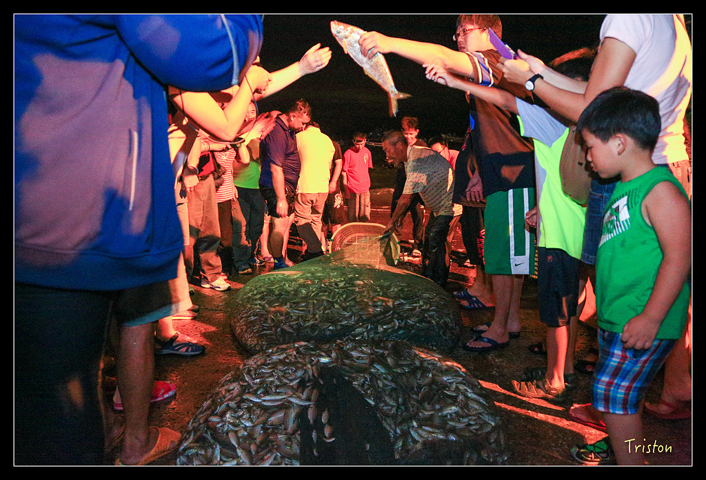 JH1A9074.jpg - 20150814 馬祖之旅