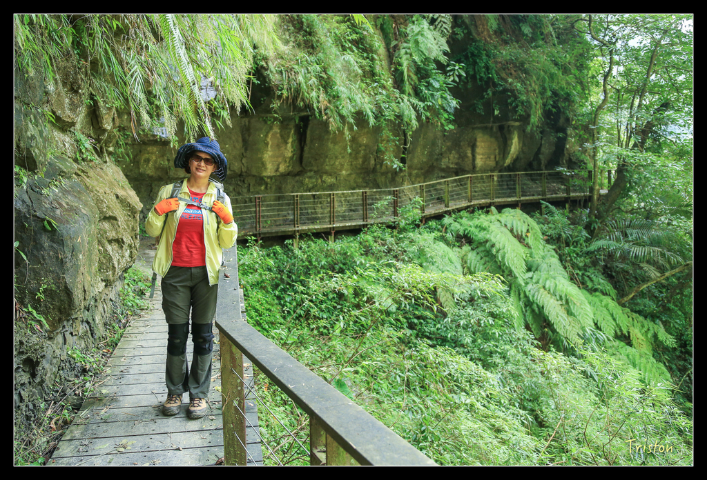 JH1A9876.jpg - 20151005 竹坑溪步道