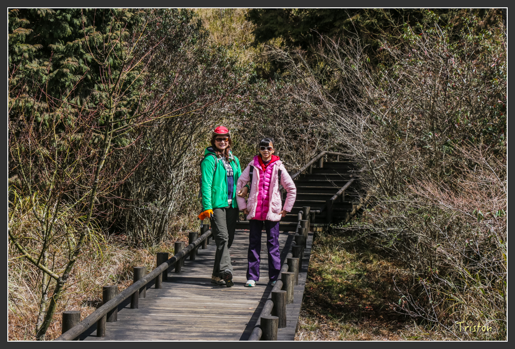 IMG_3368.jpg - 20160227 觀霧森林步道