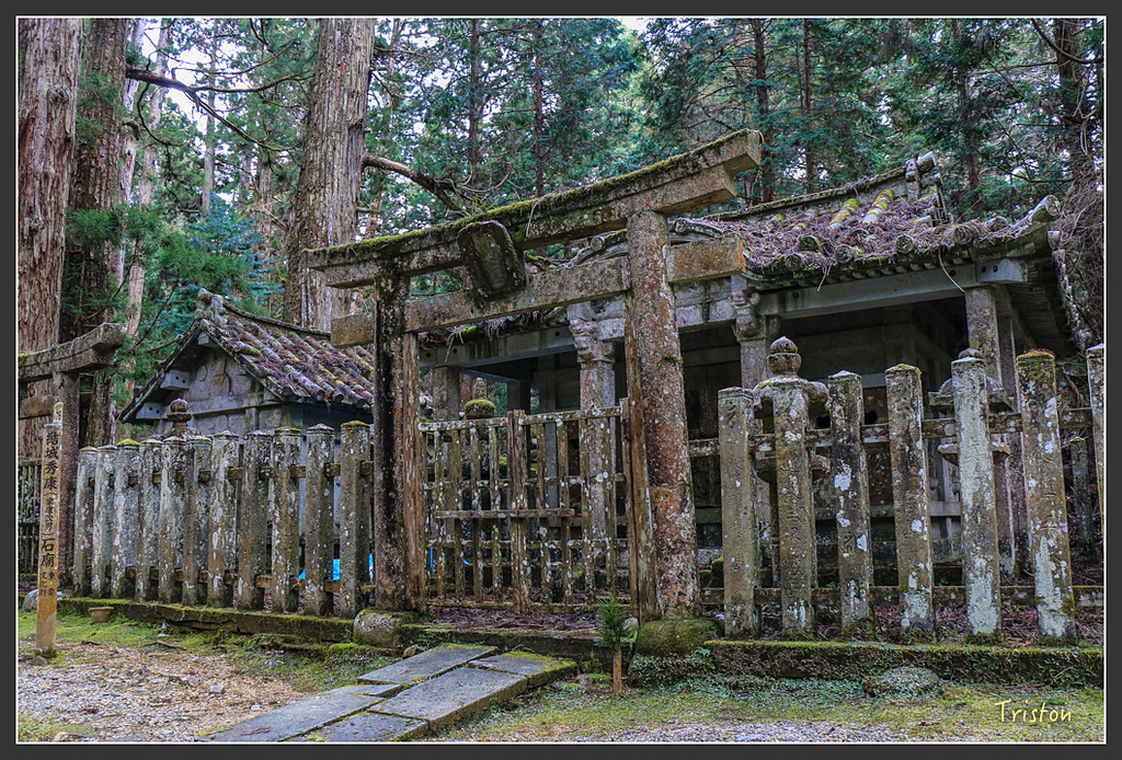 IMG_4593.jpg - 20160323 日本熊野古道健行