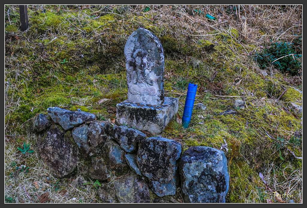 IMG_4661.jpg - 20160323 日本熊野古道健行