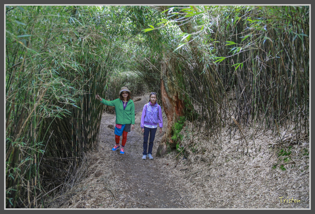 JH1A0192.jpg - 20160806 小奇萊步道、清境國小