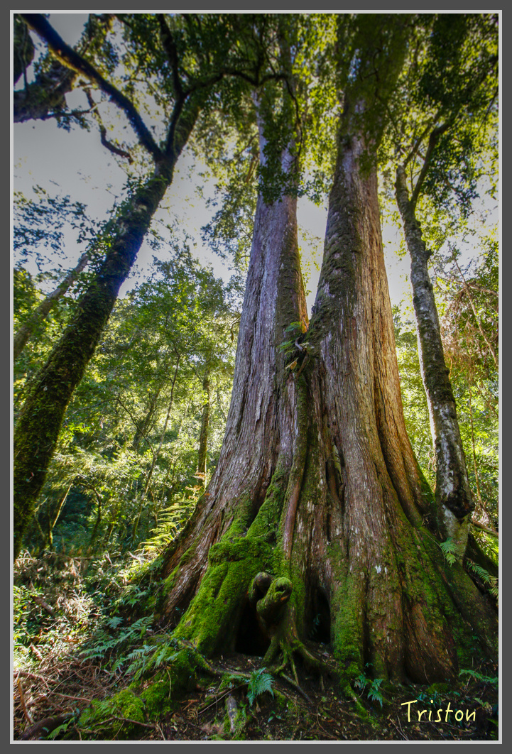 _MG_0326.jpg - 20161203 鎮西堡