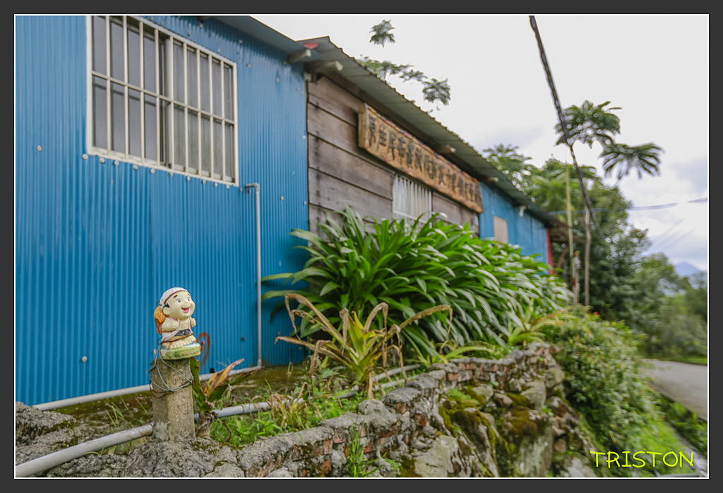 20170812-_H1A5446.jpg - 20170812 大埔、茶山、那瑪夏兜風