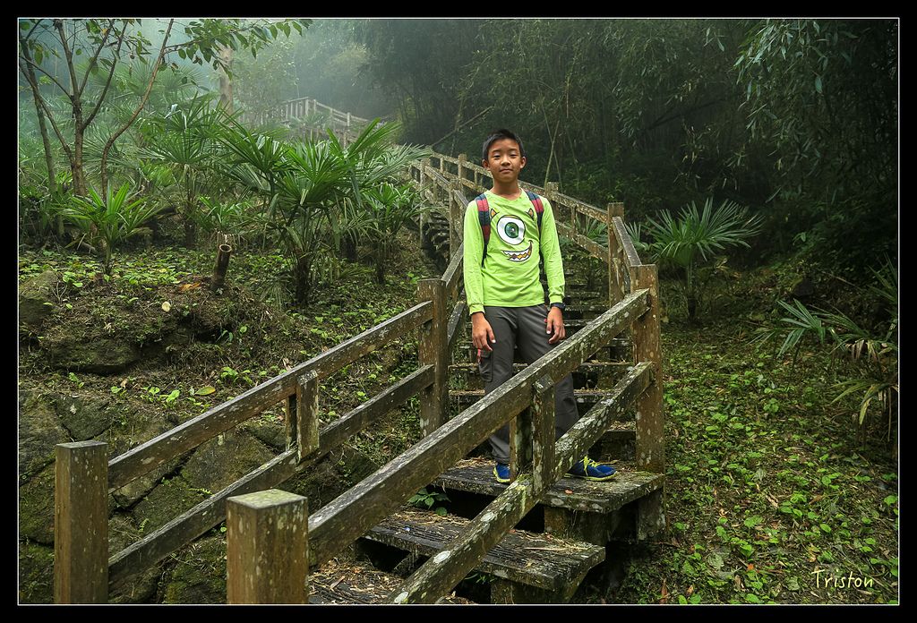 JH1A9737.jpg - 20150920 石棹,霧之道 茶之道 雲之道