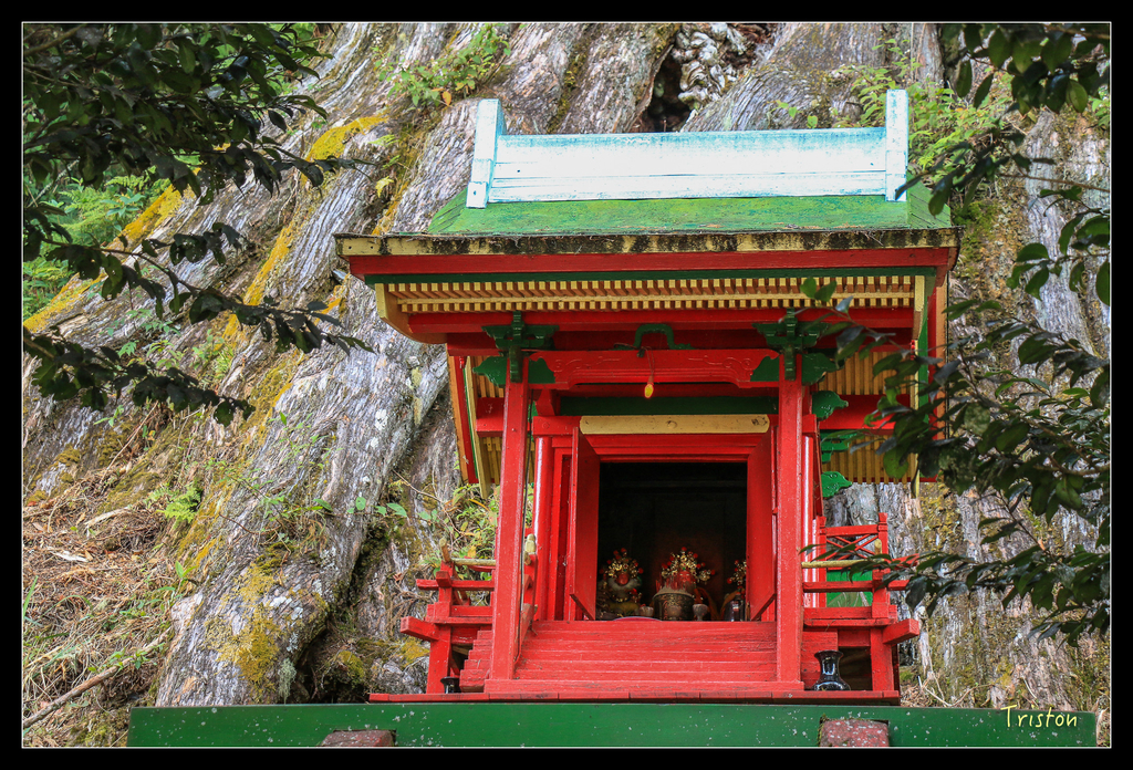 IMG_8580.jpg - 20151017 郡大林道、望鄉山、郡大山