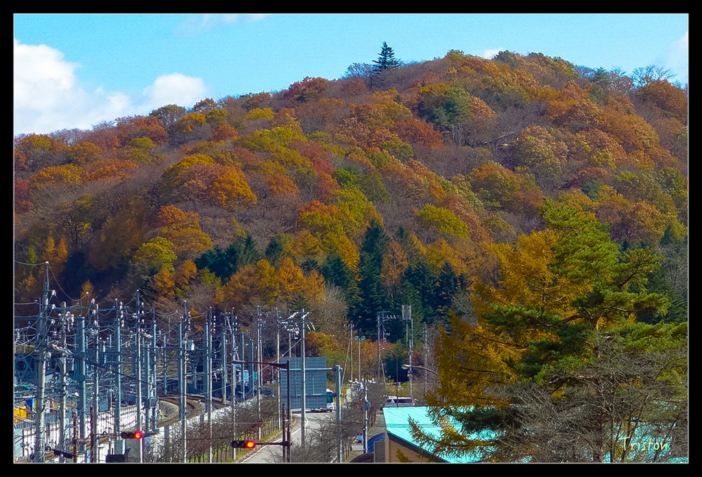 DSC00293.jpg - 20151031 秋天的童話-貴婦東京輕井澤紀行