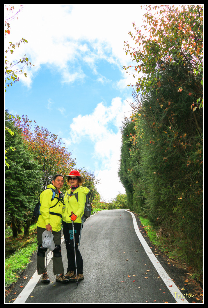 IMG_9249.jpg - 20151130 小笠原山、對高岳