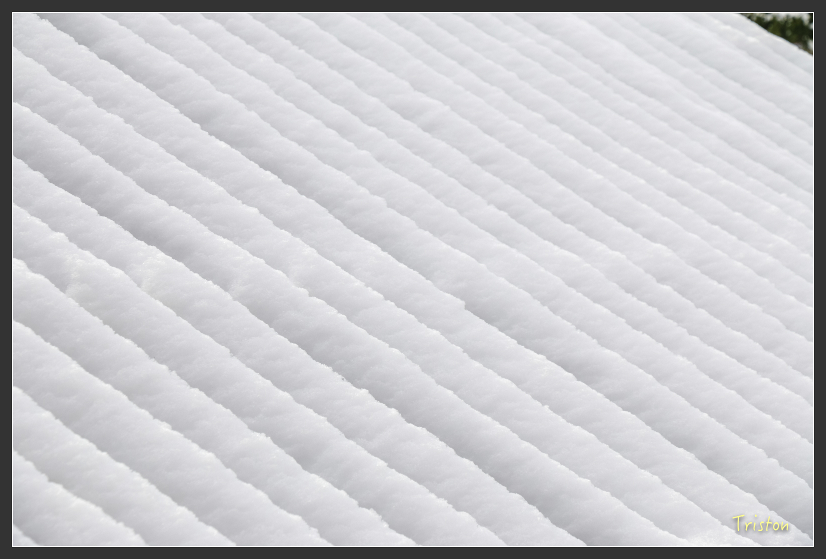 2016ZAO-00748.jpg - 20160131 日本藏王溫泉滑雪親子行