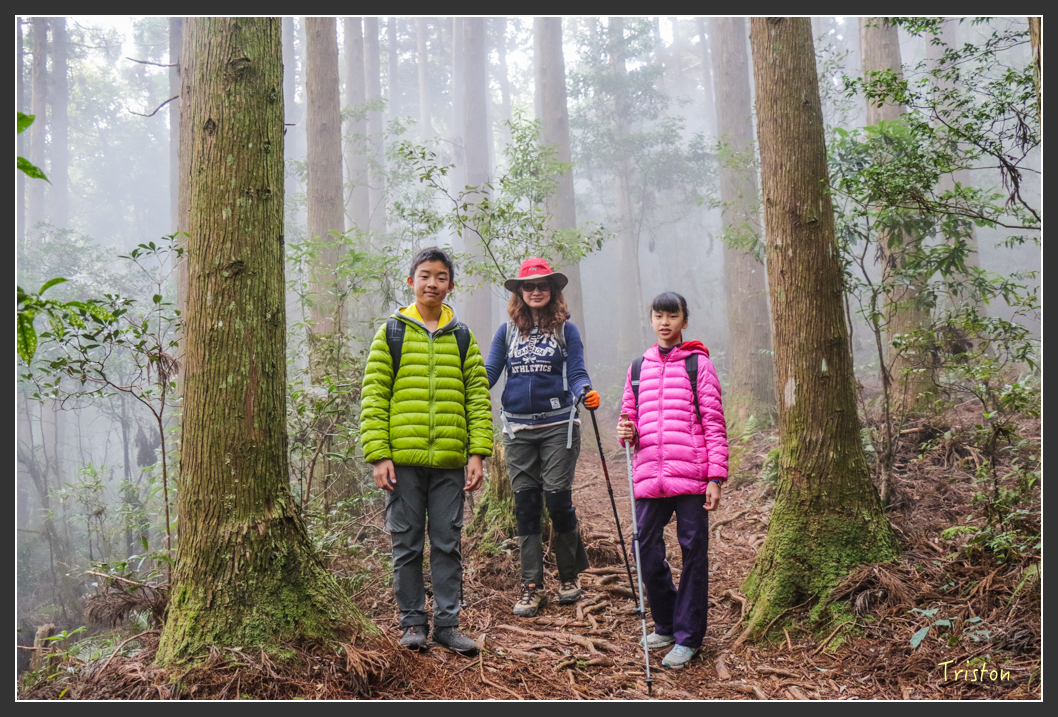IMG_3441.jpg - 20160227 觀霧森林步道