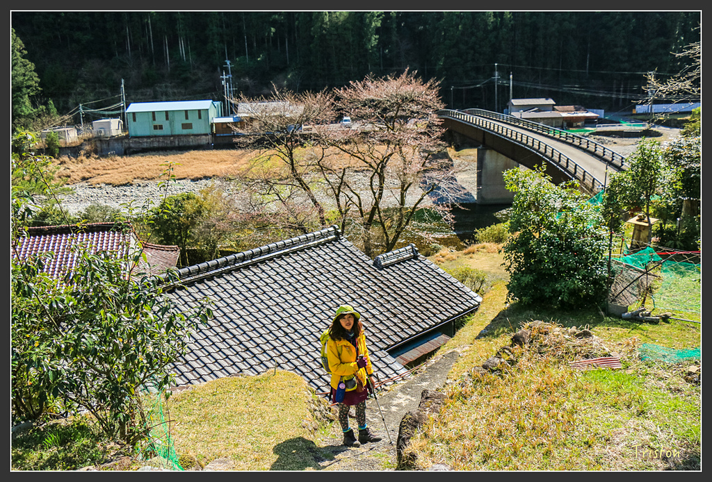 IMG_5193.jpg - 20160323 日本熊野古道健行