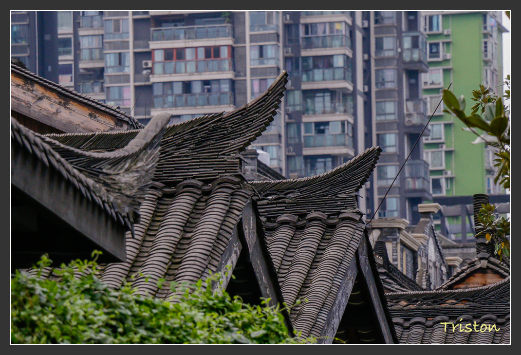 _MG_2820.jpg - 20161013 稻城亞丁