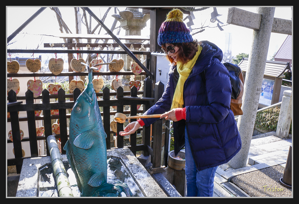 Canon-155.jpg - 20170120 大阪神戶親子遊 