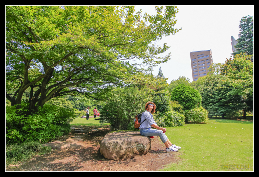 _MG_1833.jpg - 20170702 靜岡東海道之旅