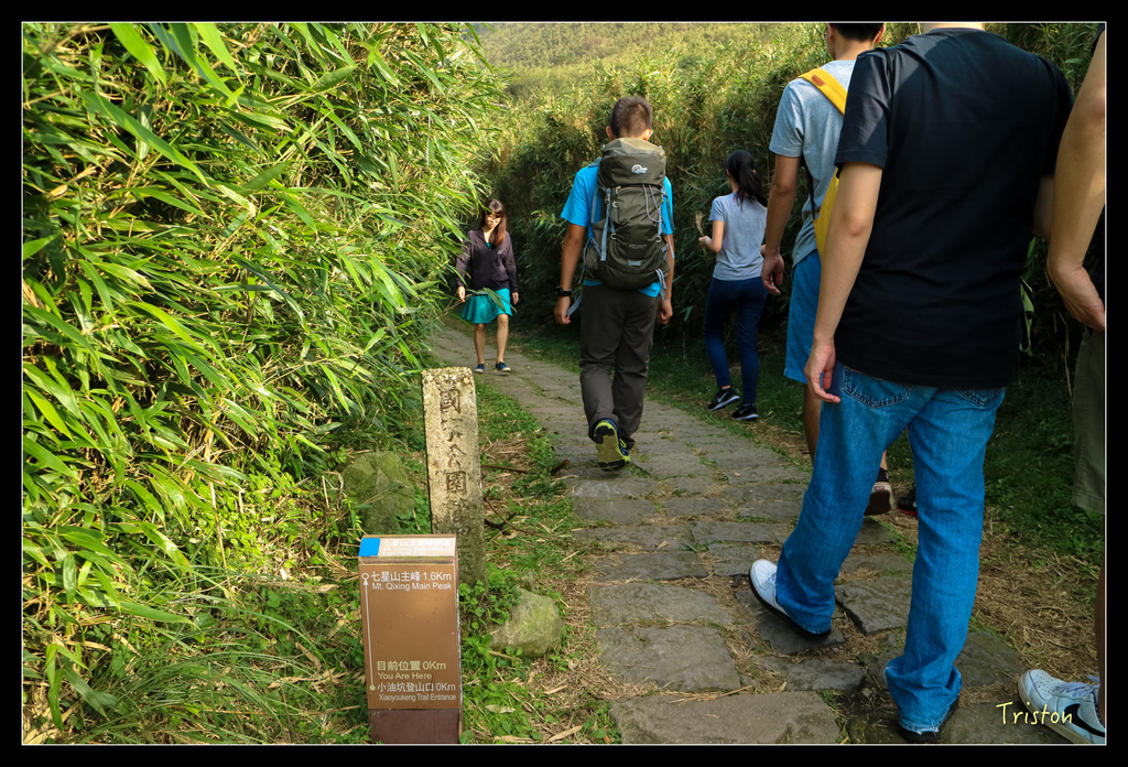 IMG_0428.jpg - 20151107 富士坪古道