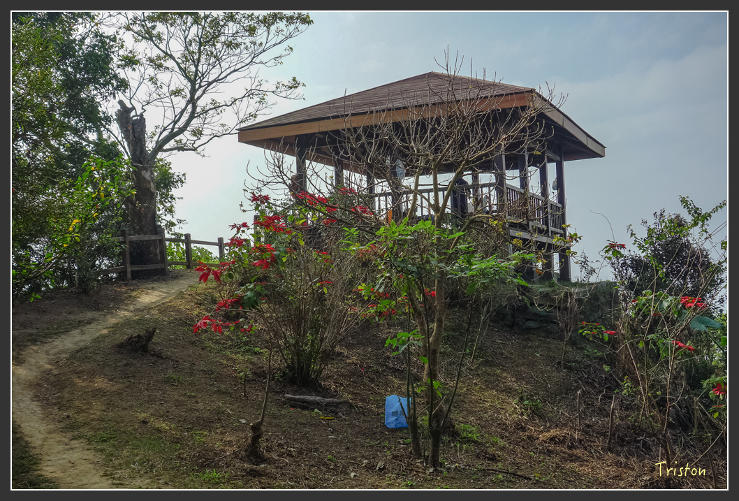 DSC00629.jpg - 20151229 鈺鼎步道