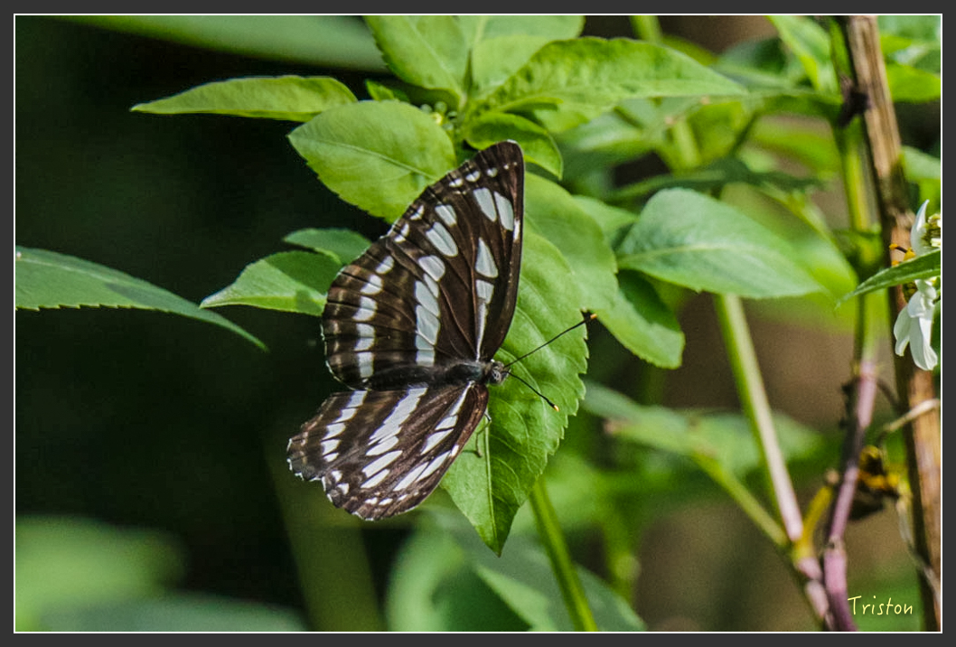 IMG_1575-2.jpg - 20160122 南仁湖、墾丁