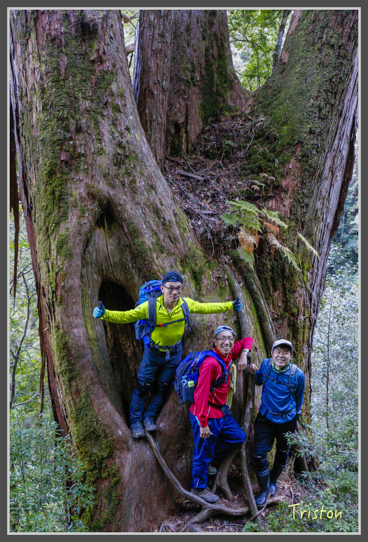 _MG_0196.jpg - 20161203 鎮西堡