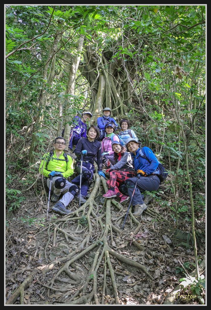 IMG_0562.jpg - 201161217 旗靈縱走