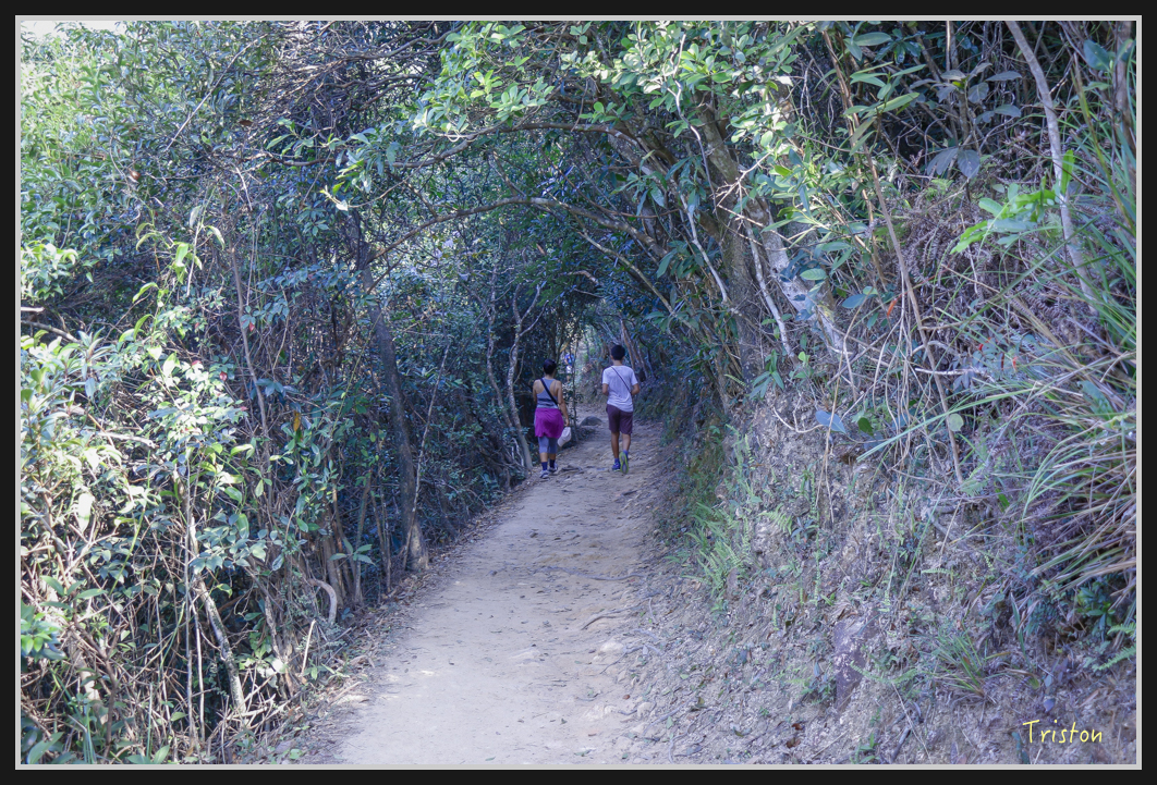 00169.jpg - 20170107 香港健行