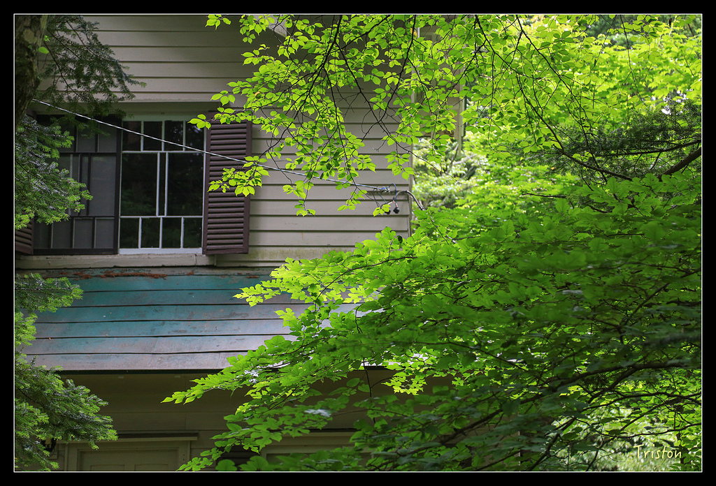 JH1A9339.jpg - 20150628 東京輕井澤日光