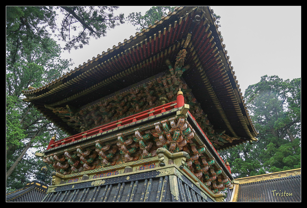 JH1A9977.jpg - 20150628 東京輕井澤日光