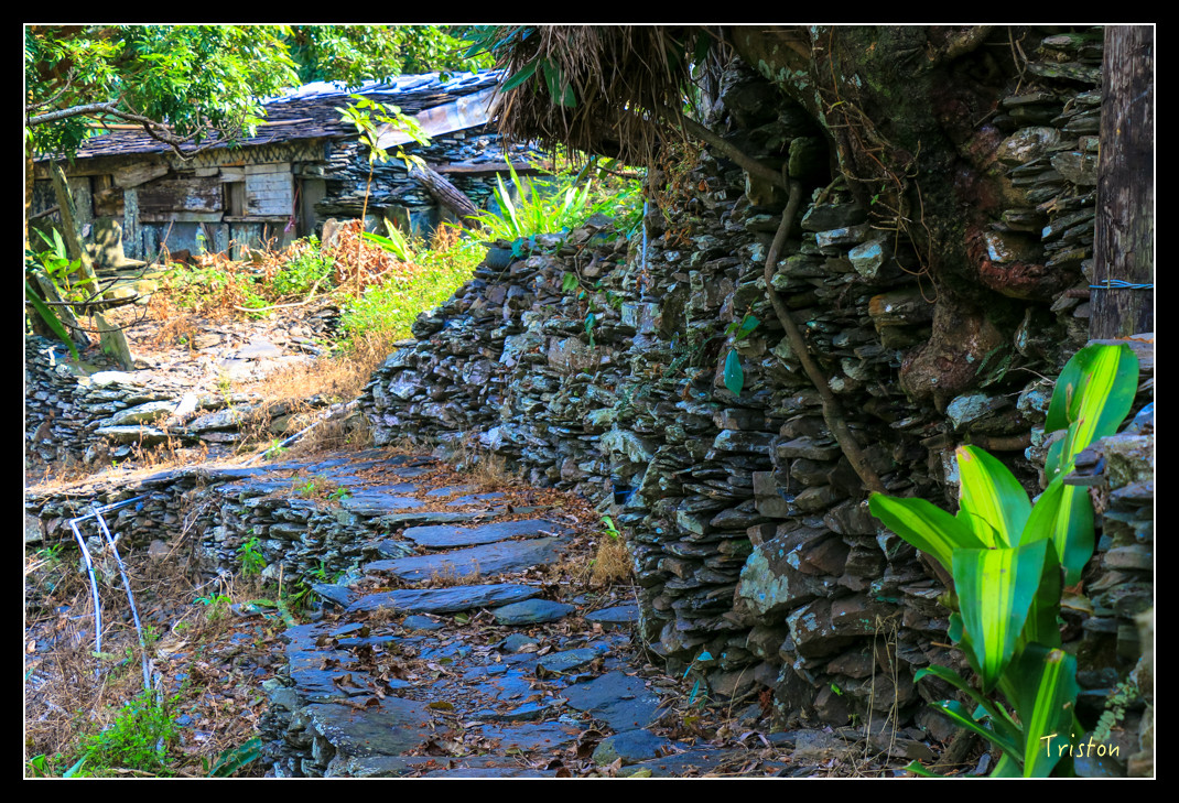 IMG_9560.jpg - 20151202 老七佳部落