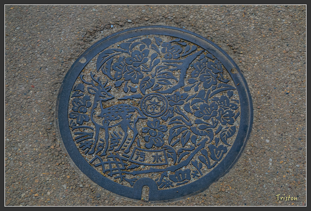 IMG_4199.jpg - 20160323 日本熊野古道健行