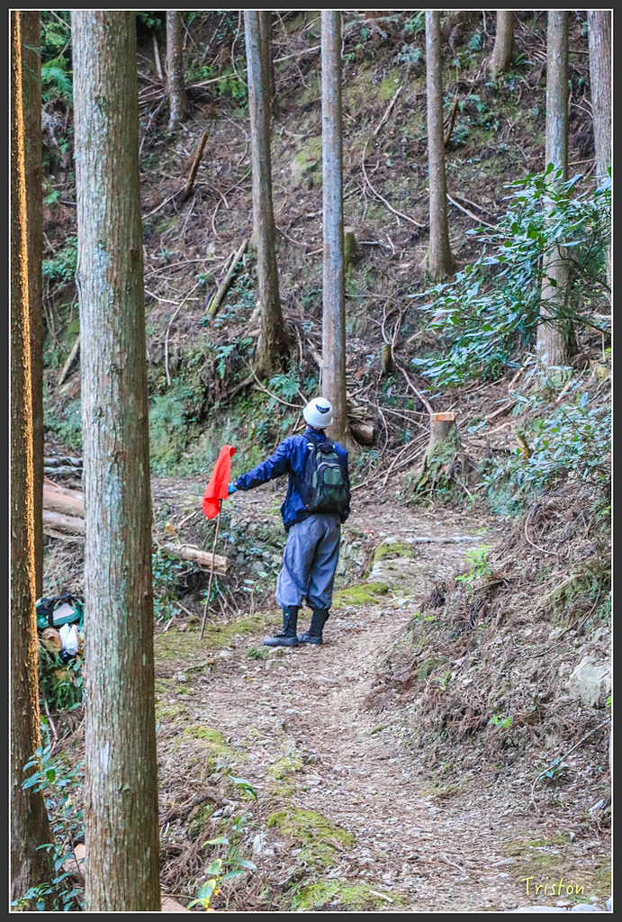 IMG_4997.jpg - 20160323 日本熊野古道健行