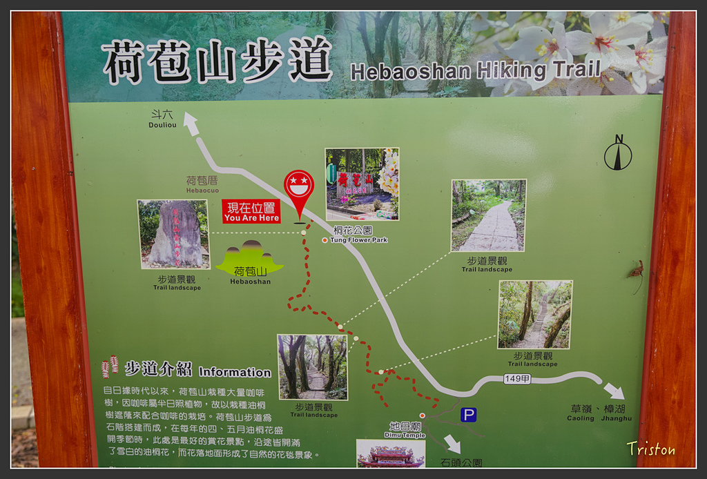 JH1A8822.jpg - 20160426 銅鑼天空步道、天空之城、荷苞山