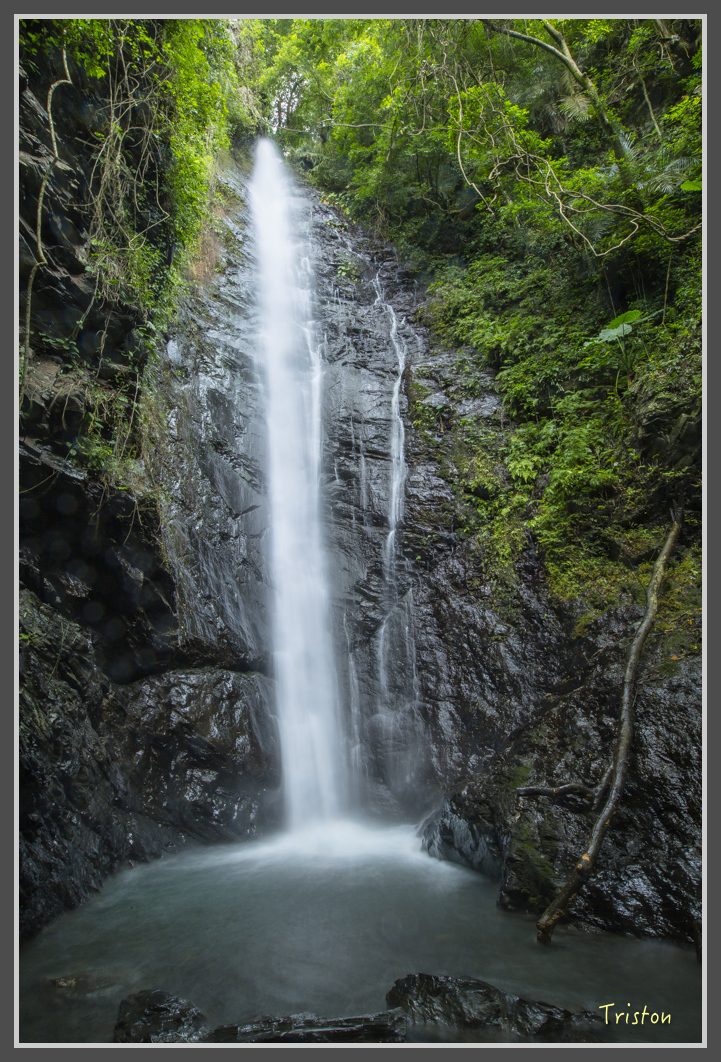 JH1A1893.jpg - 20160725 大津瀑布