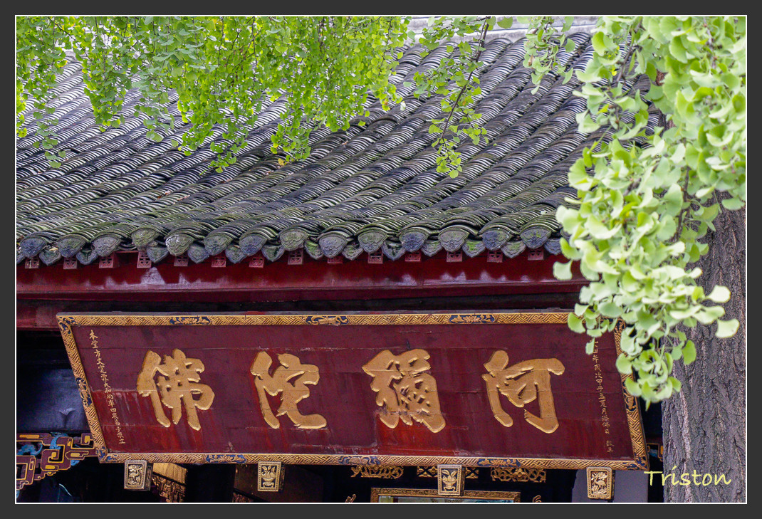 _MG_2859.jpg - 20161013 稻城亞丁