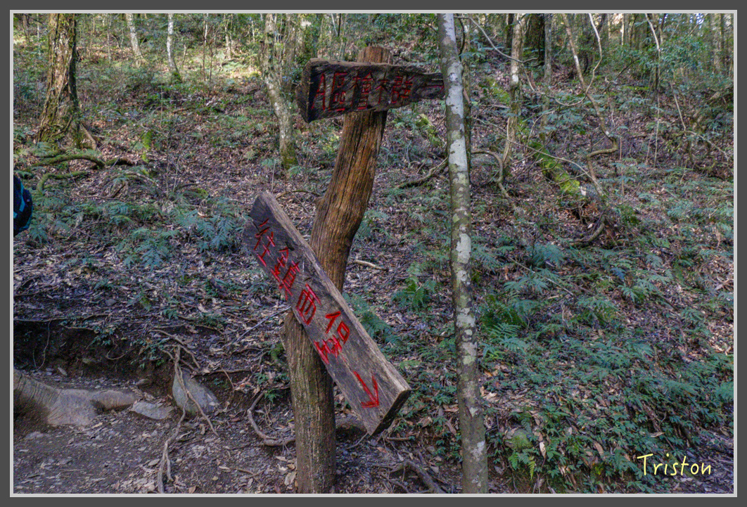 _MG_0101.jpg - 20161203 鎮西堡