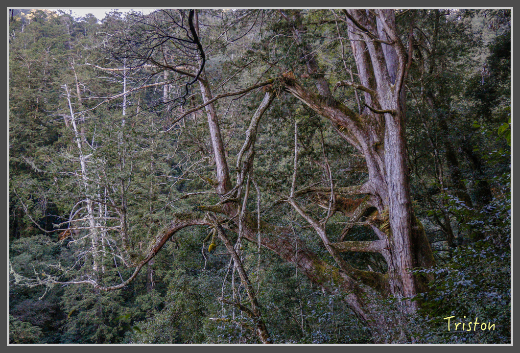 _MG_0199.jpg - 20161203 鎮西堡