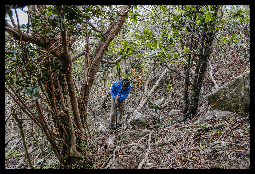 _H1A3250.jpg - 20170401 墾丁