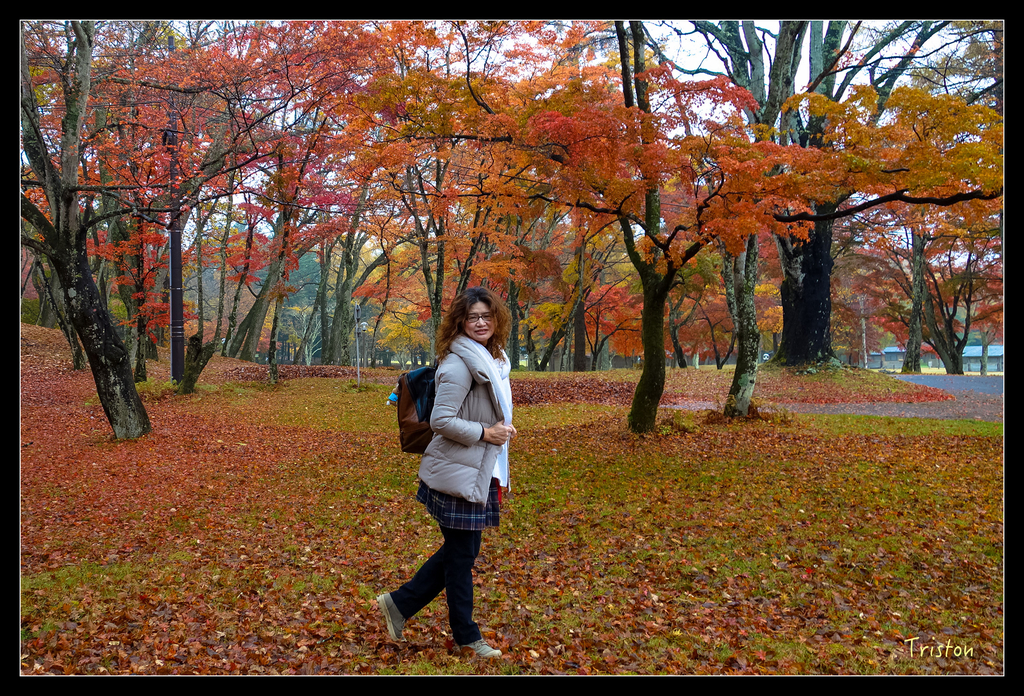 DSC00258.jpg - 20151031 秋天的童話-貴婦東京輕井澤紀行