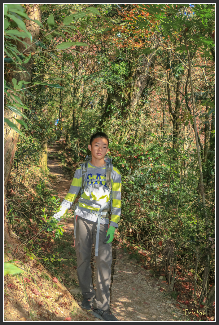 IMG_0651.jpg - 20151219 鳶嘴稍來山、小雪山林道