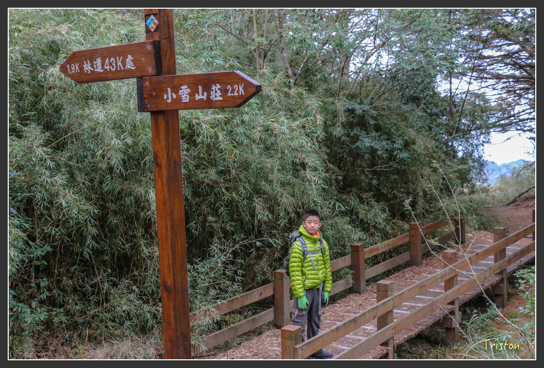 IMG_1057.jpg - 20151219 鳶嘴稍來山、小雪山林道
