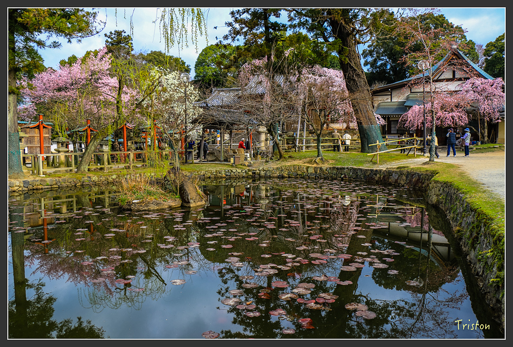 IMG_4293.jpg - 20160323 日本熊野古道健行