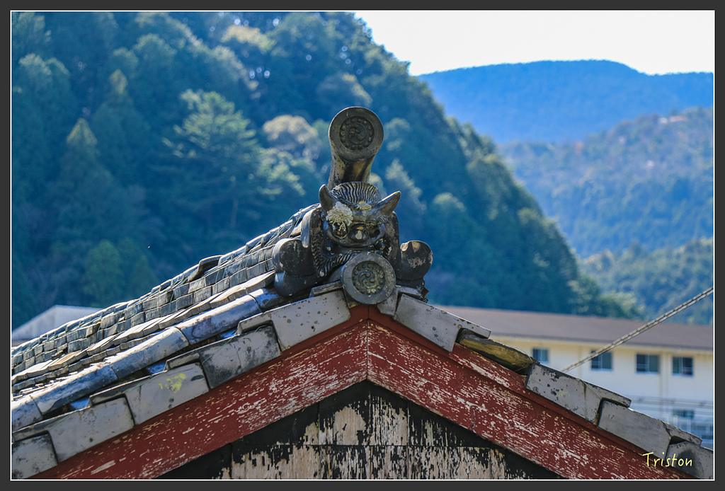 IMG_5238.jpg - 20160323 日本熊野古道健行