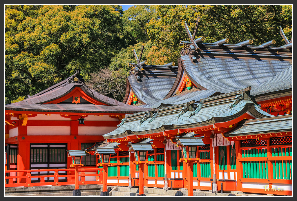 IMG_5828.jpg - 20160323 日本熊野古道健行