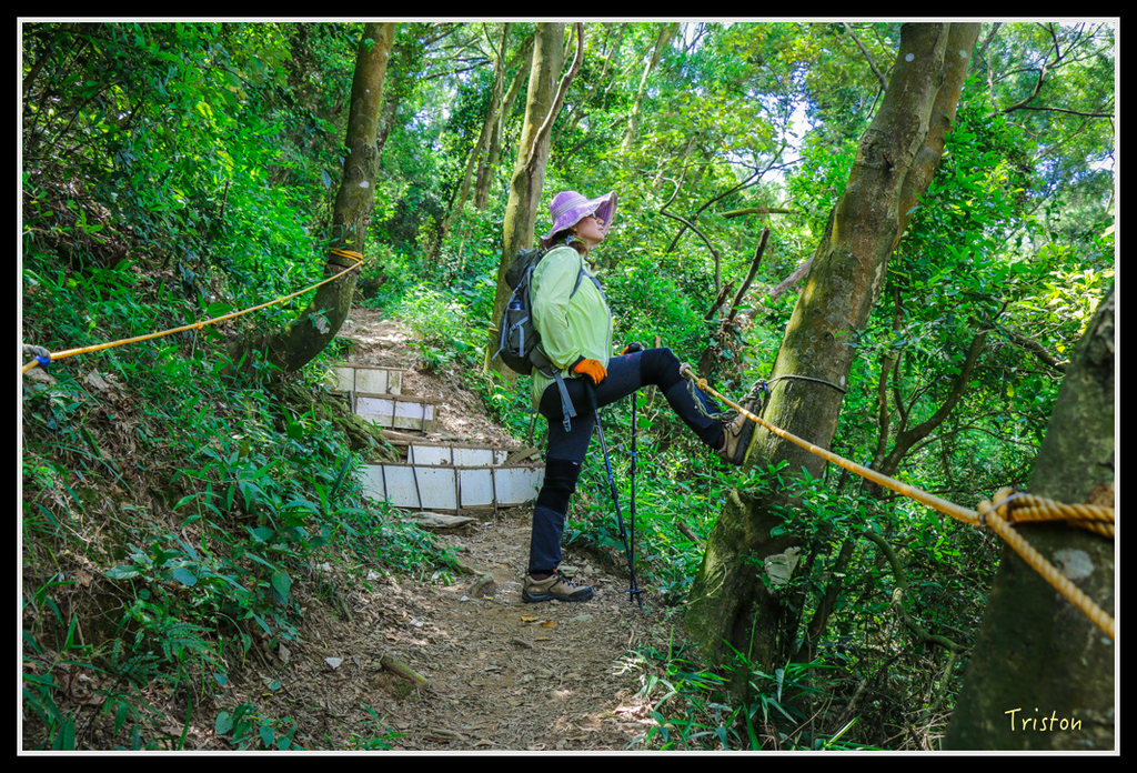 IMG_7289.jpg - 20160531 屏東笠頂山