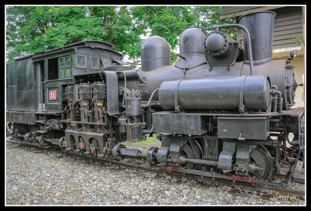 IMG_7556.jpg - 20160609 嘉義一日小旅行